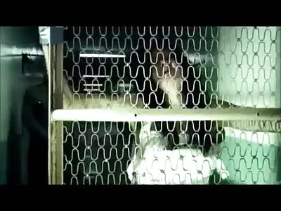 گرم، شہوت انگیز بیب Oxana Chic باہر جنسی سایت فیلم سوپر ایرانی طور پر گڑبڑ ہو جاتا ہے